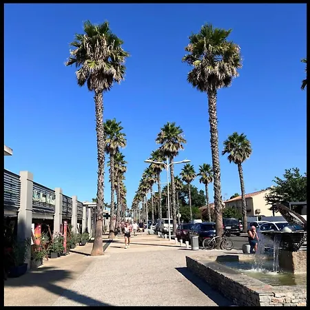 Lägenhet Le Nid D'occitanie, Wifi Et Parking Inclus Le Castellas